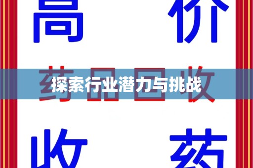 呼和浩特探索行业潜力与挑战