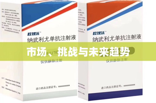 呼和浩特市场、挑战与未来趋势